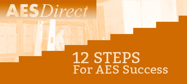 Twelve Steps for Success with AES Filing