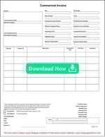 Commercial Invoice Download Now