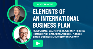 Elements of an International Business Plan