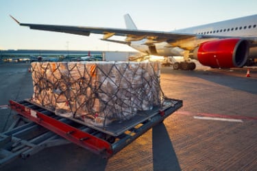 Freight Forwarder vs. Customs Broker: What's the Difference? | Shipping Solutions