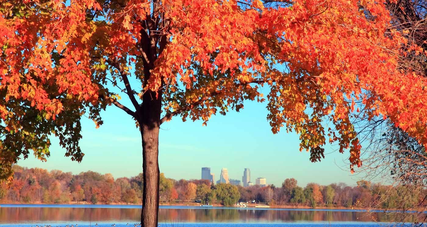 minnesota-fall
