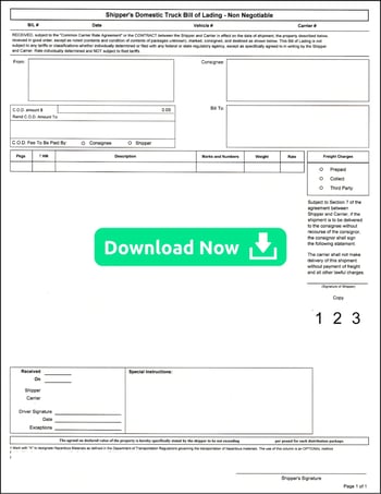 Inland Bill of Lading Download Now (1)