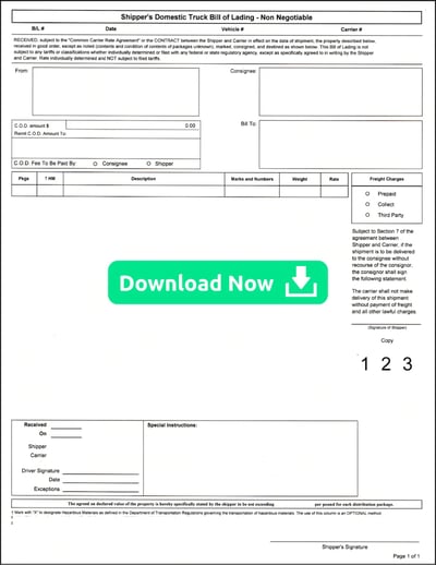 Inland Bill of Lading Download Now (1)