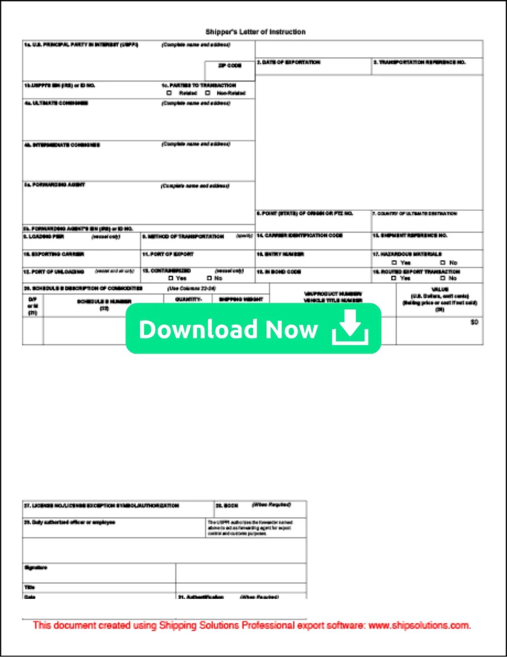 Shipper's Letter of Instruction in SED | Download Now