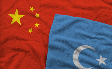 Uyghur Forced Labor Prevention Act (UFLPA) Places the Burden on Importers | Shipping Solutions