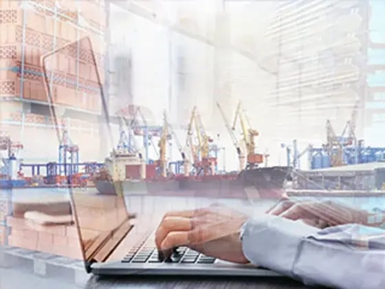 Shipping Solutions Import-Export Compliance Software | Shipping Solutions