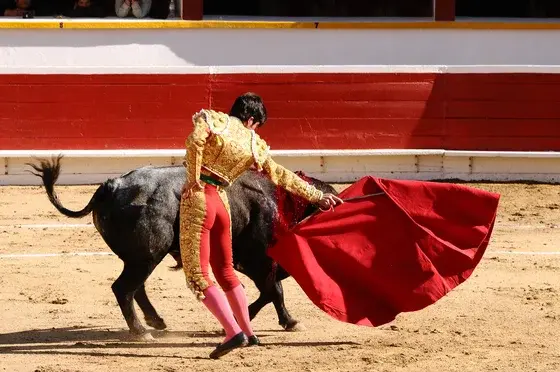 No Bull: Export Compliance Means Watching for Red Flags