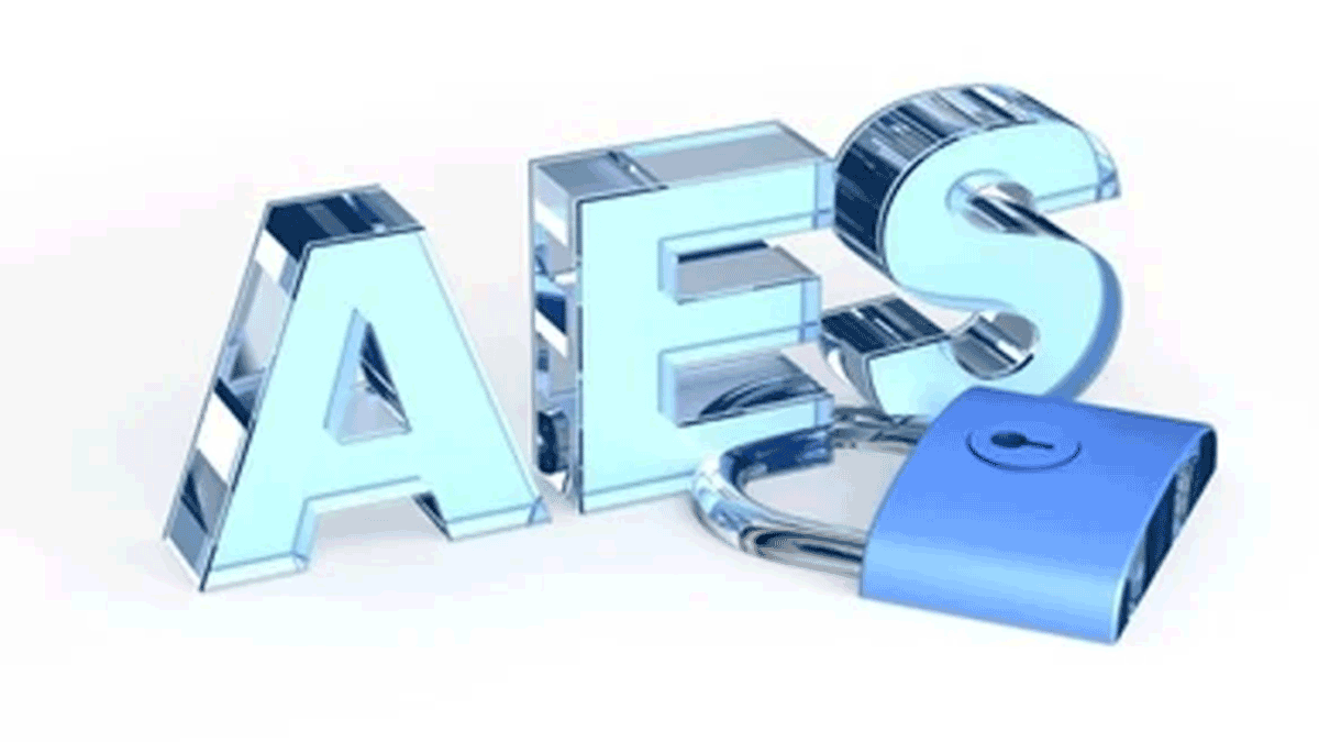 The Language of AES
