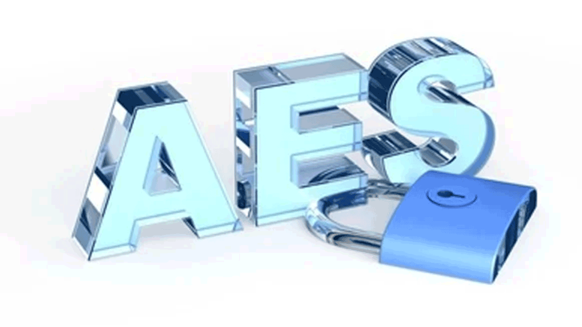 Automated Export System (AES) Certification Statements