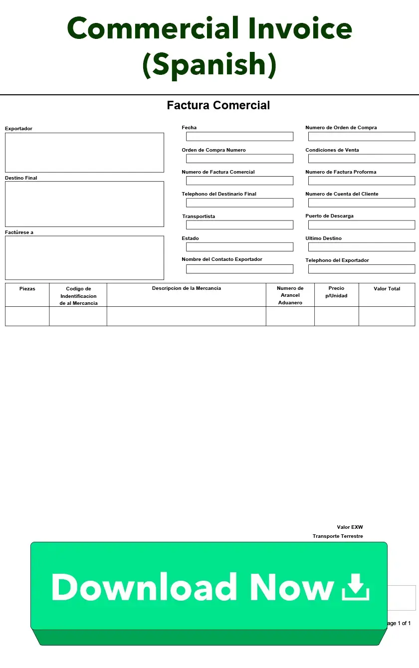 Commercial Invoice (Spanish)